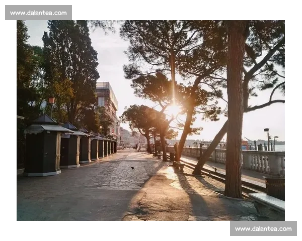 未被察觉的永恒:那些在回忆中苏醒的瞬间