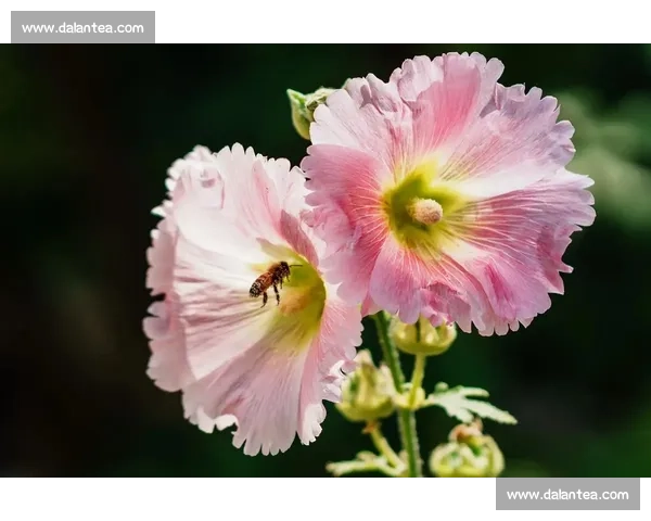 怪姿出片：解锁创意摄影新姿势