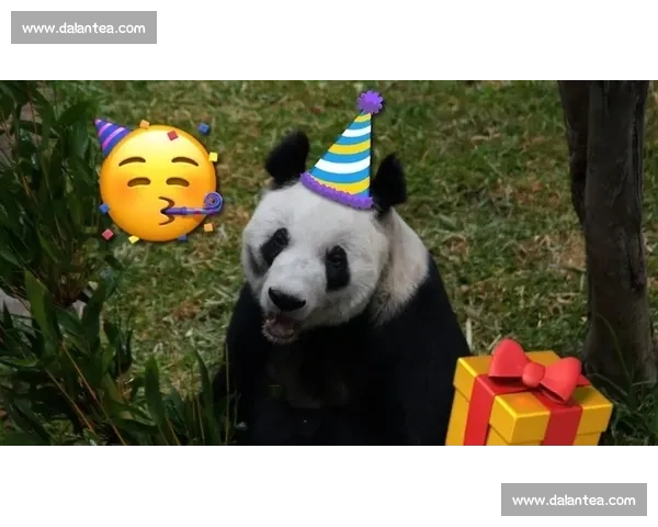 墨西哥为 35 岁大熊猫 “欣欣” 庆生 海外最长寿 “友谊大使” 迎百岁华诞